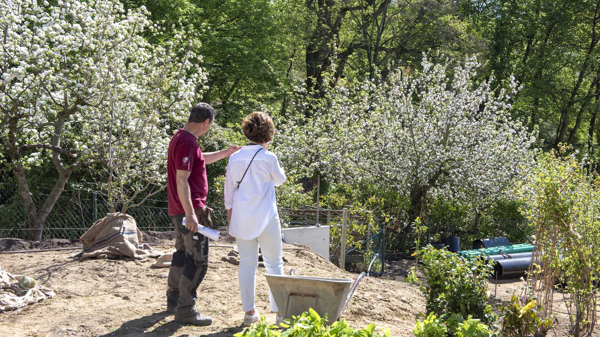 Der Borgmann Baustellenleiter bespricht mit der Eigentümerin dieser Blankeneser Immobilie die voranschreitenden Gartenarbeiten. Sie betrachten die Terrassierung und die ersten blühenden Bäume.