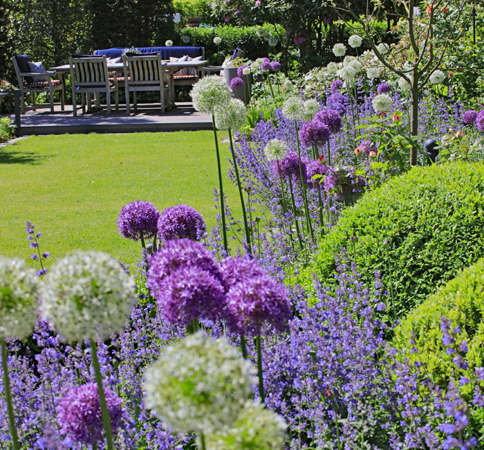 Bunte Blumenbeete mit lila und weißen Blüten in einem Garten mit Rasenfläche.